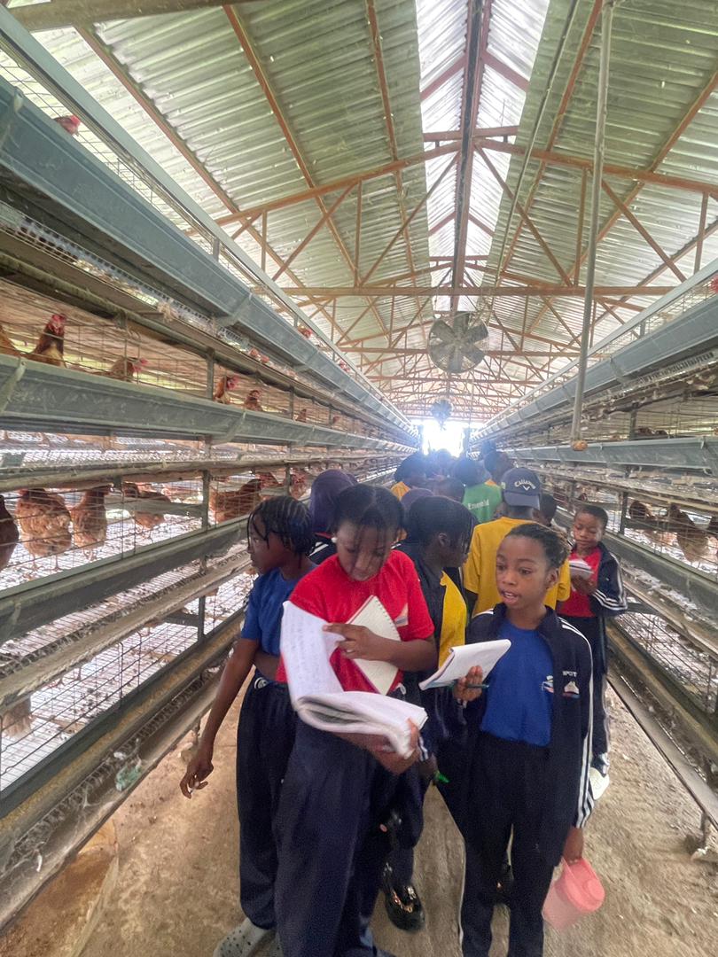Exploring the World of Mechanized Agriculture
